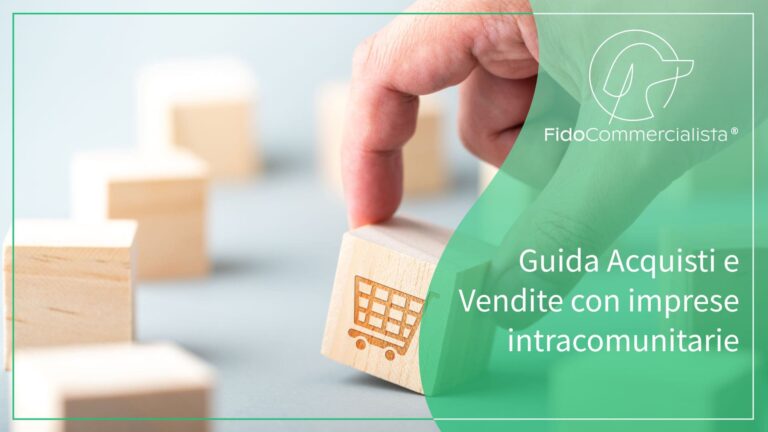 Guida acqusti e vendite imprese intracomunitarie