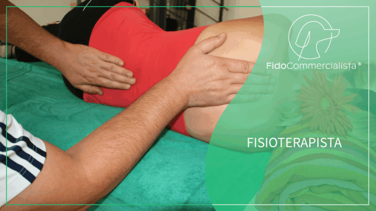 Fisioterapista