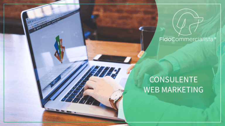 Consulente web marketing