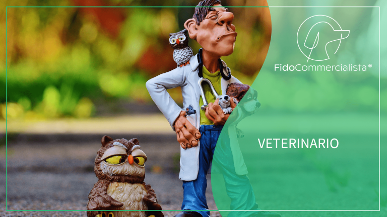 Veterinario