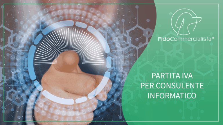 Consulente Informatico