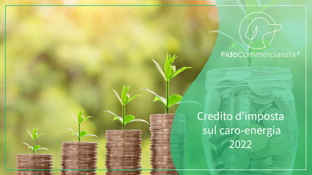 caro energia